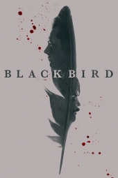 پرنده سیاه Black Bird 2022