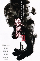دانلود فیلم کشتار دو Kill Zone 2 2015